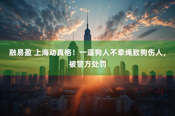 融易盈 上海动真格！一遛狗人不牵绳致狗伤人，被警方处罚