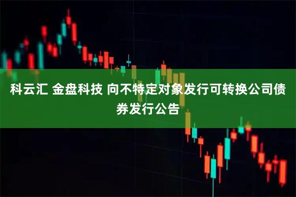科云汇 金盘科技 向不特定对象发行可转换公司债券发行公告